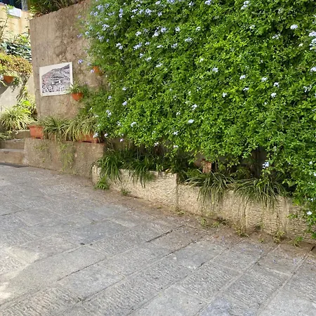 Casa Cotone 5 Apartmán Marciana Marina (Isola d'Elba)